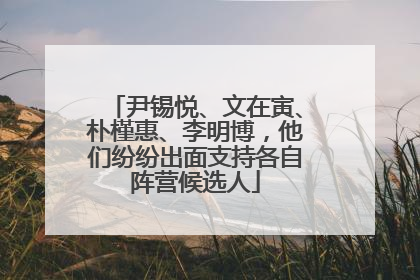 尹锡悦、文在寅、朴槿惠、李明博，他们纷纷出面支持各自阵营候选人