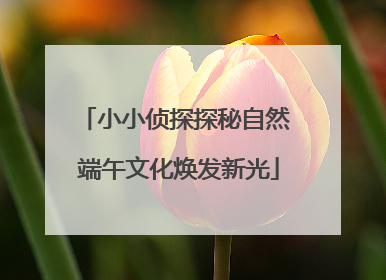 小小侦探探秘自然 端午文化焕发新光