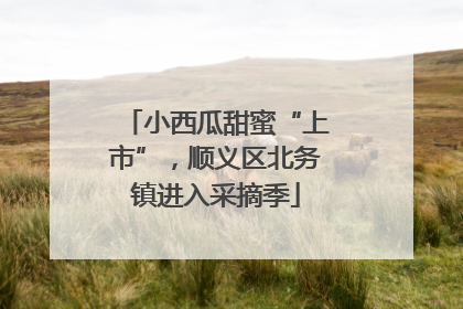 小西瓜甜蜜“上市”，顺义区北务镇进入采摘季