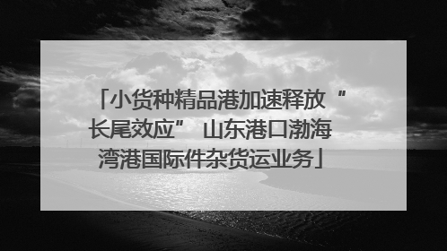 小货种精品港加速释放“长尾效应” 山东港口渤海湾港国际件杂货运业务