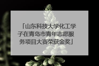 山东科技大学化工学子在青岛市青年志愿服务项目大赛荣获金奖