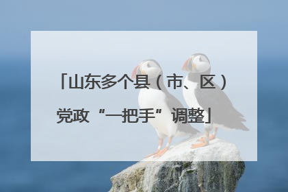 山东多个县（市、区）党政“一把手”调整