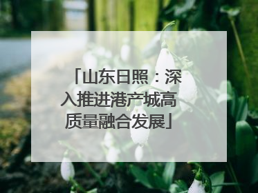 山东日照：深入推进港产城高质量融合发展