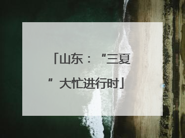 山东：“三夏”大忙进行时