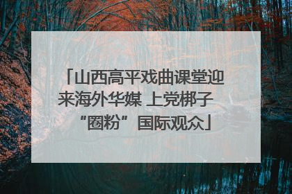 山西高平戏曲课堂迎来海外华媒 上党梆子“圈粉”国际观众