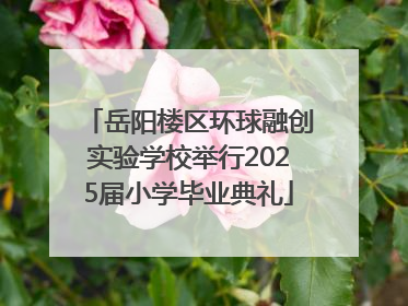 岳阳楼区环球融创实验学校举行2025届小学毕业典礼