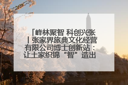 峰林聚智 科创兴张丨张家界旅典文化经营有限公司博士创新站：让土家织锦“智”造出非遗新传奇