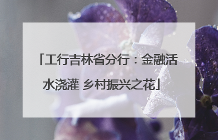 工行吉林省分行：金融活水浇灌 乡村振兴之花