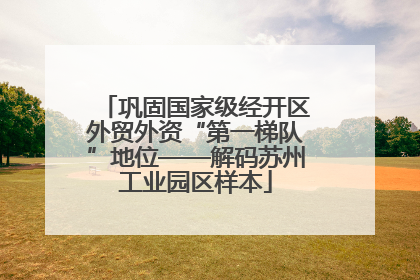 巩固国家级经开区外贸外资“第一梯队”地位——解码苏州工业园区样本