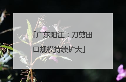 广东阳江：刀剪出口规模持续扩大