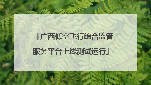 广西低空飞行综合监管服务平台上线测试运行