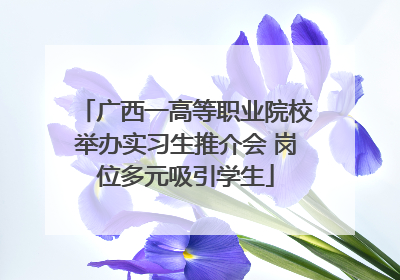 广西一高等职业院校举办实习生推介会 岗位多元吸引学生