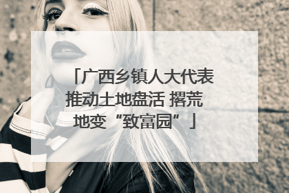 广西乡镇人大代表推动土地盘活 撂荒地变“致富园”