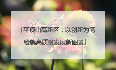 平顶山高新区：以创新为笔 绘就高质量发展新图景