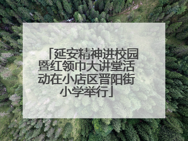 延安精神进校园暨红领巾大讲堂活动在小店区晋阳街小学举行