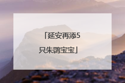 延安再添5只朱鹮宝宝