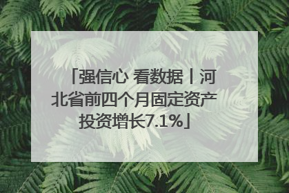 强信心 看数据丨河北省前四个月固定资产投资增长7.1%
