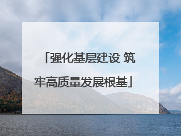 强化基层建设 筑牢高质量发展根基
