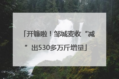 开镰啦！邹城麦收“减”出530多万斤增量