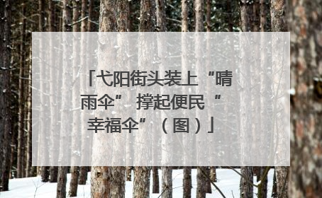 弋阳街头装上“晴雨伞” 撑起便民“幸福伞”（图）