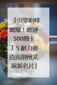 引擎咆哮燃爆！欧速500圈卡丁车耐力赛点亮荆州文旅新名片