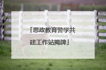 思政教育警学共建工作站揭牌