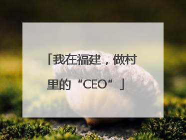 我在福建，做村里的“CEO”
