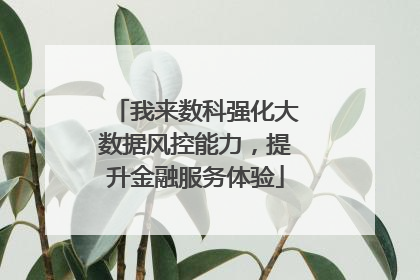 我来数科强化大数据风控能力，提升金融服务体验