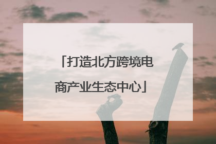 打造北方跨境电商产业生态中心