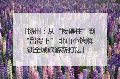 扬州：从“接得住”到“留得下” 北山小镇解锁全域旅游新打法