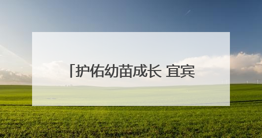护佑幼苗成长 宜宾翠屏菜坝幼儿园多举措筑牢校园安全防线