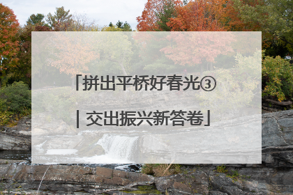 拼出平桥好春光③｜交出振兴新答卷