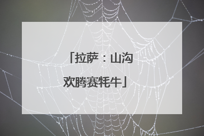 拉萨：山沟欢腾赛牦牛