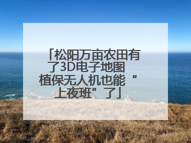 松阳万亩农田有了3D电子地图 植保无人机也能“上夜班”了