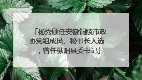 杨秀颀任安徽铜陵市政协党组成员、秘书长人选，曾任枞阳县委书记