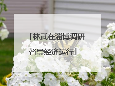 林武在淄博调研督导经济运行