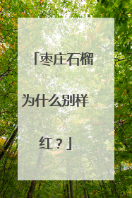 枣庄石榴为什么别样红？