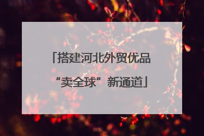 搭建河北外贸优品“卖全球”新通道