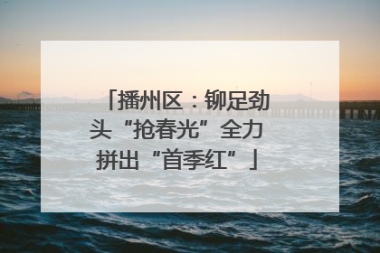 播州区：铆足劲头“抢春光”全力拼出“首季红”