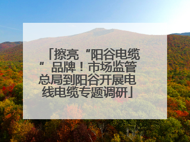擦亮“阳谷电缆”品牌！市场监管总局到阳谷开展电线电缆专题调研