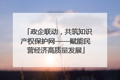 政企联动，共筑知识产权保护网——赋能民营经济高质量发展
