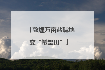 敦煌万亩盐碱地变“希望田”