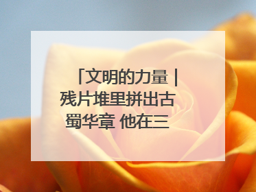 文明的力量｜残片堆里拼出古蜀华章 他在三星堆修文物