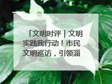 文明时评｜文明实践我行动！市民文明巡访，引领淄博全民志愿