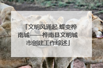 文明风涌起 蝶变桦南城——桦南县文明城市创建工作综述