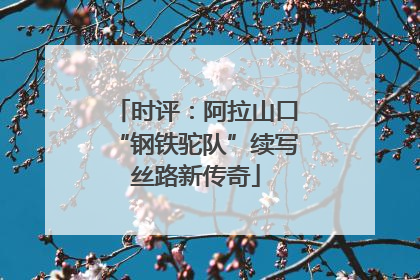 时评:阿拉山口“钢铁驼队”续写丝路新传奇