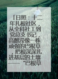 日照：十二年扎根社区，从全科社工到党总支书记，高麒滢像一株顽强的巴根草，把根深深扎进基层的土壤——“巴根草书记”的夏日叙事