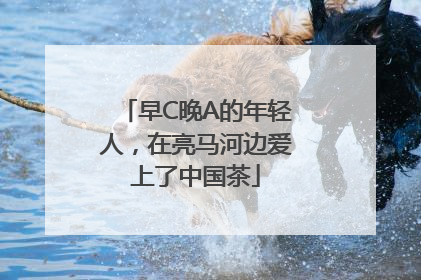早C晚A的年轻人，在亮马河边爱上了中国茶