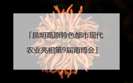 昆明高原特色都市现代农业亮相第9届南博会