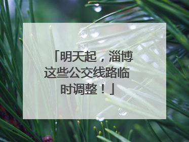 明天起，淄博这些公交线路临时调整！